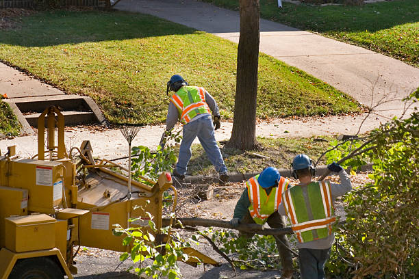 Best Seasonal Cleanup  in Innsbrook, VA